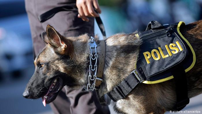 الجمارك العالمية توافق على إنشاء مركز أقليمي في إيران لتدريب الكلاب البوليسية