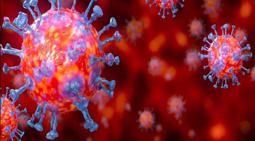 أنواع مختلفة من فيروس كورونا قد تعيش في جسم الإنسان