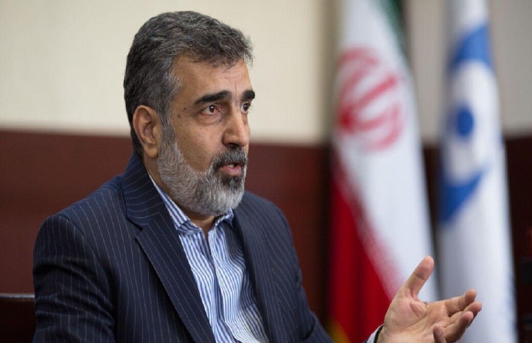 كمالوندي : غروسي سيبحث في طهران استمرار التعاون بين ايران ووكالة الطاقة الذرية