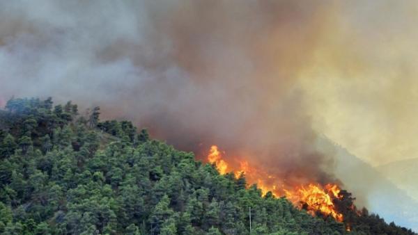 الحرائق تلتهم الغابات في كوريا الجنوبية