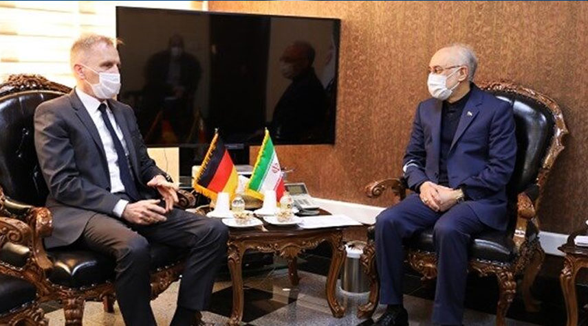 رئيس منظمة الطاقة النووية الايرانية يستقبل السفير الألماني