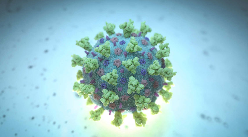 علماء يكتشفون مواد قد تمنع فيروس كورونا من التكاثر