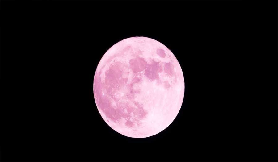 "الوردي العملاق" يزين السماء ليلة الإثنين