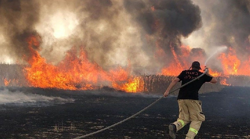 اعلام الاحتلال: اندلاع حريق كبير قرب مطار "بن غوريون"