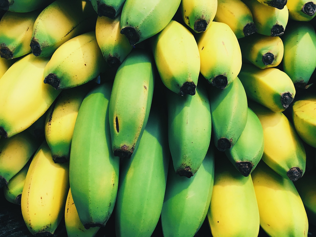 أيهما أكثر فائدة.. الموز الأخضر أم الموز الأصفر؟