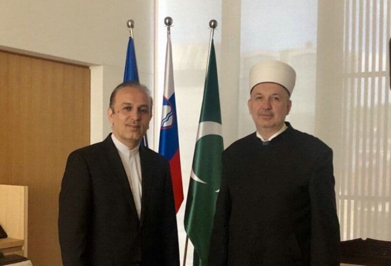 سفير إيران في سلوفينيا: طهران تؤكد تعزيز التعاون مع العالم الإسلامي