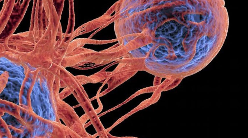دراسة تكشف عن تفاصيل جديدة عن العلاج المناعي للسرطان