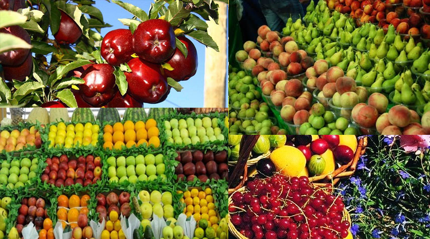 إيران تحتل المرتبة الأولى بإنتاج الفاكهة في منطقة غرب آسيا