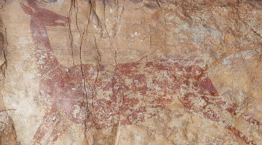 اكتشاف رسوم مدهشة عمرها 7500 عام بكهف في إسبانيا