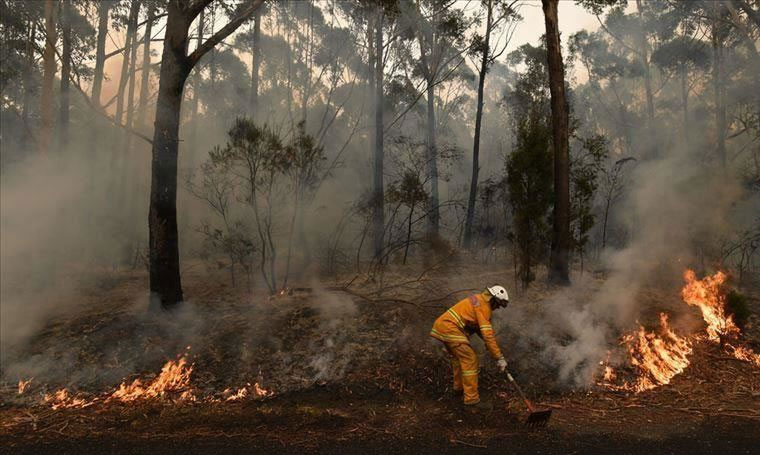 إعلان حالة الطوارئ في إقليم كاريليا الروسي بسبب حرائق الغابات