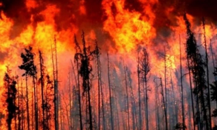 اعلان حالة الطوارئ غرب كندا بسبب الحرائق