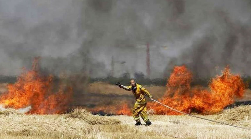 فلسطين... اندلاع حرائق عدة في مستوطنات غلاف غزة