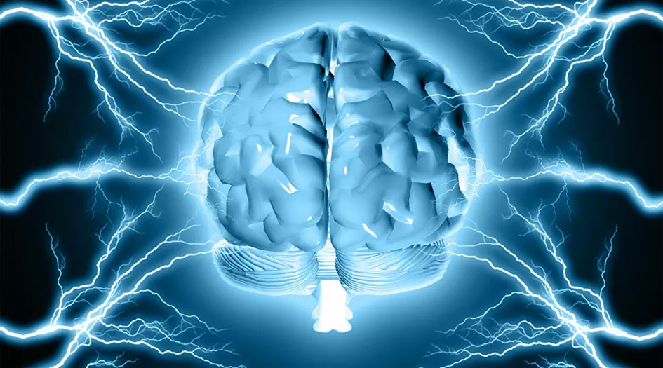 5 عوامل تقلل من حجم المخ.. تعرف عليها