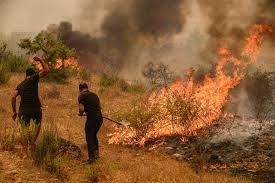 ارتفاع حصيلة ضحايا حرائق الغابات جنوبي تركيا