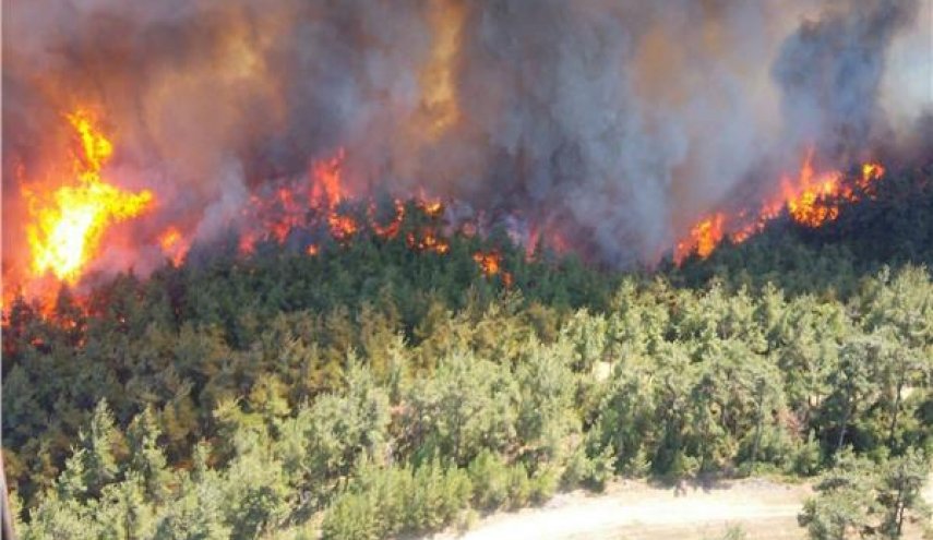 جماعة كردية تعلن مسؤوليتها عن حرائق الغابات في تركيا