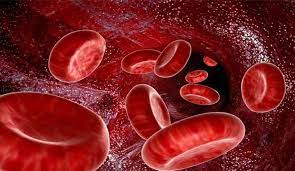 نصائح لخفض مستوى الكوليسترول في الدم