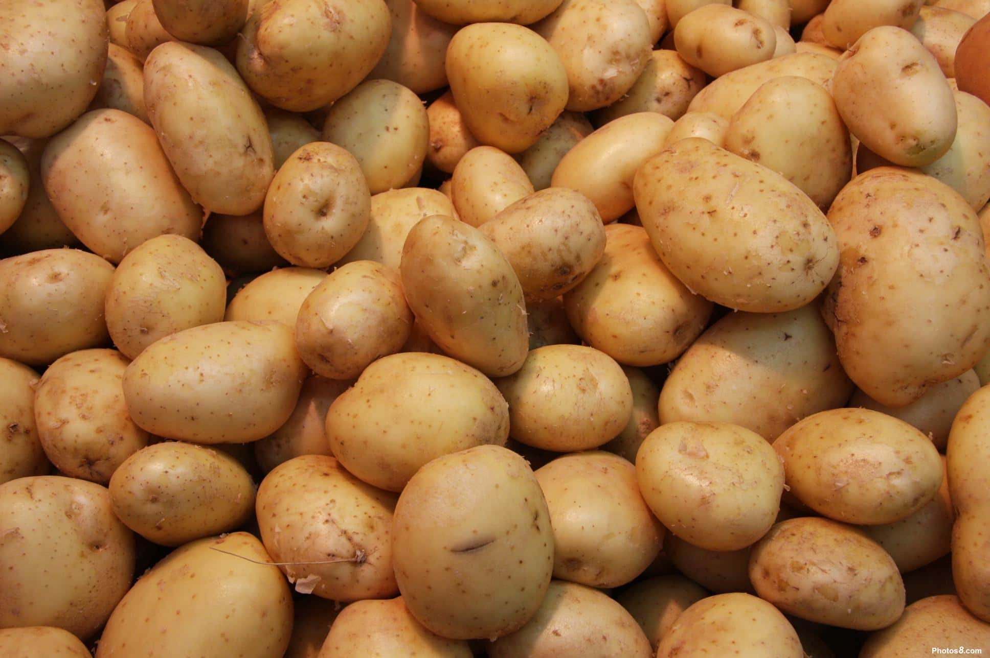 تعرف على فوائد البطاطا لصحة الجسم 