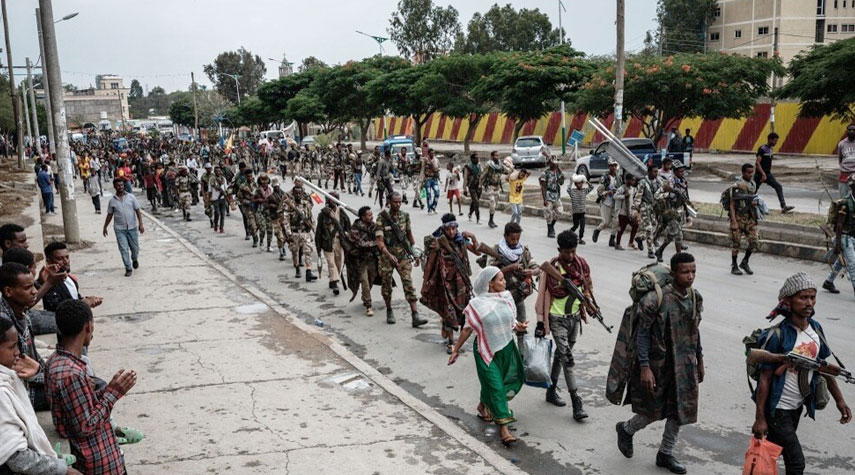 جماعة مسلحة تعلن تحالفها مع قوات تيغراي ضد حكومة إثيوبيا