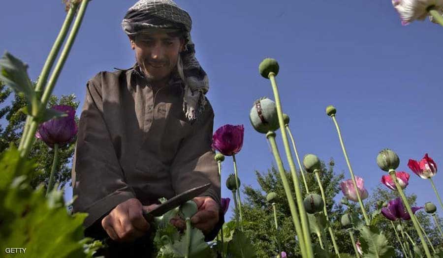 خلال 20 عاما.. كيف مولت طالبان حربها في أفغانستان؟