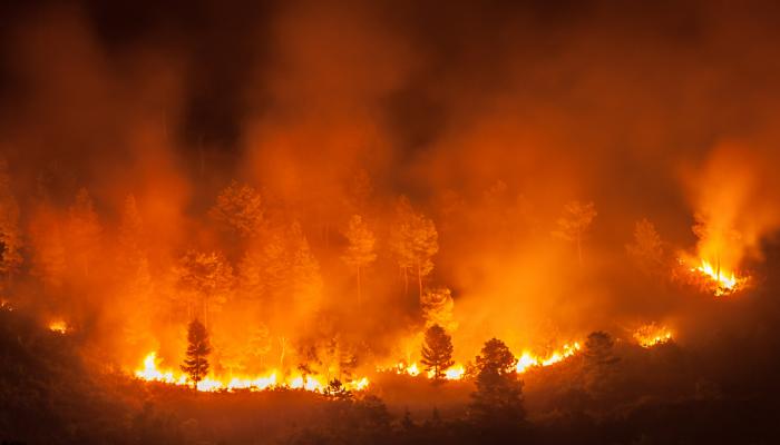 تواصل حرائق غابات لليوم الخامس في اسبانيا