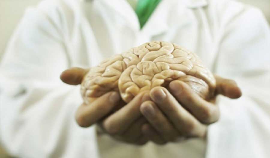 كيف تحافظ على دماغك بعد التعرض لمرض الزهايمر؟