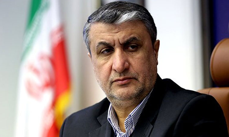 المنظمة النووية الإيرانية: نلتزم بتطبيق القانون الستراتيجي حول إلغاء الحظر