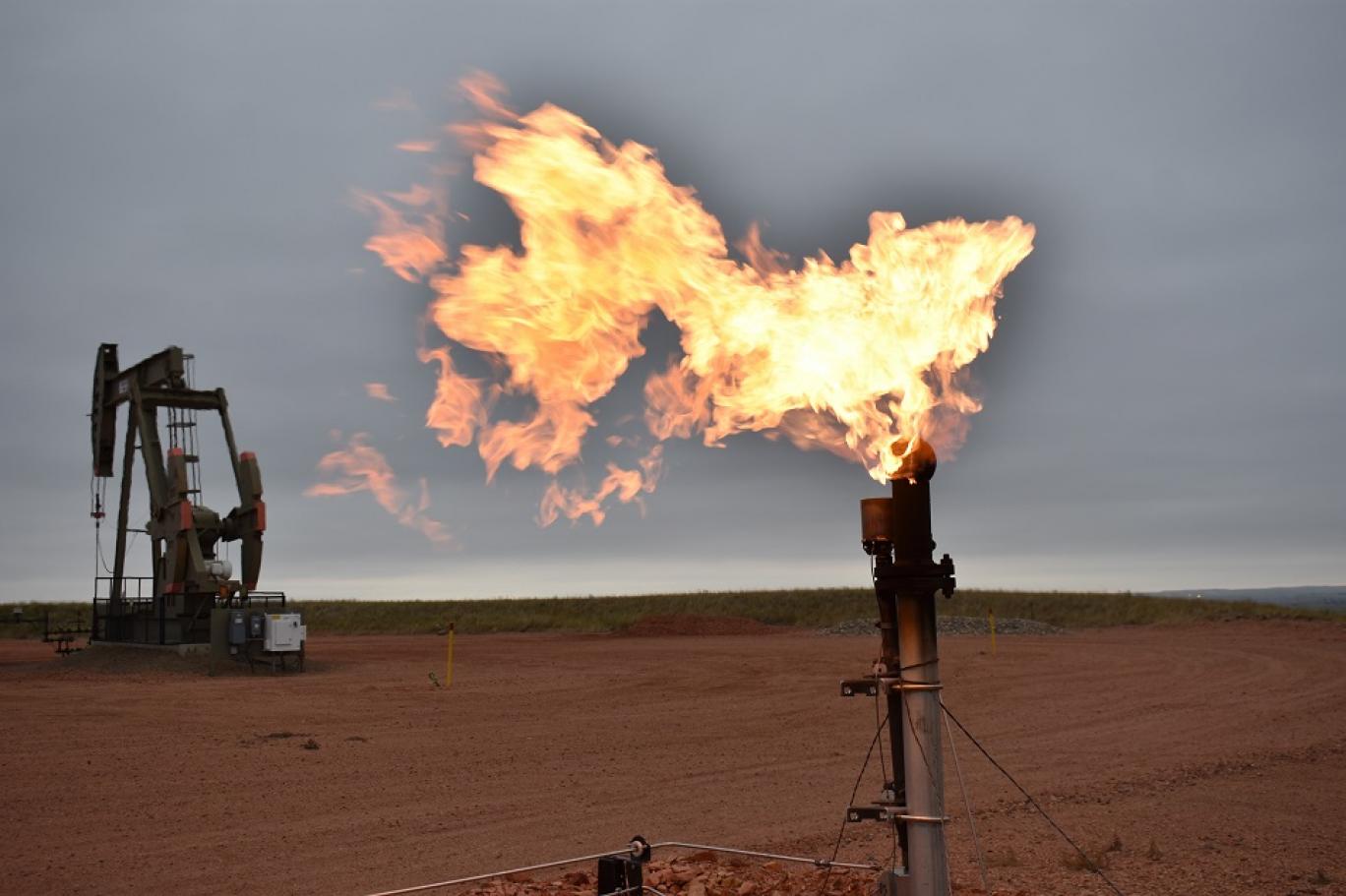  إفلاس عشرات الشركات الأروربية بسبب ارتفاع أسعار الغاز