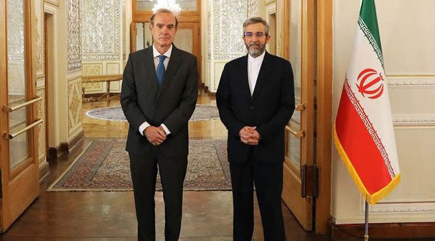 ممثلية ايران: الغاء الحظر محور المحادثات بين باقري ومورا