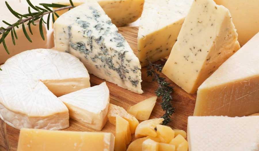 مخاطر وفوائد الجبنة