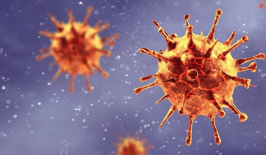 ما هو فيروس "هيهي" الذي أثار مخاوف العالم وما هي أعراضه؟
