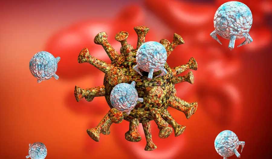 كم عدد الأجسام المضادة التي تحمي من تحورات الفيروس التاجي؟
