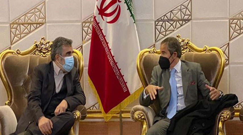 المدير العام للوكالة الدولية للطاقة الذرية يصل الى طهران