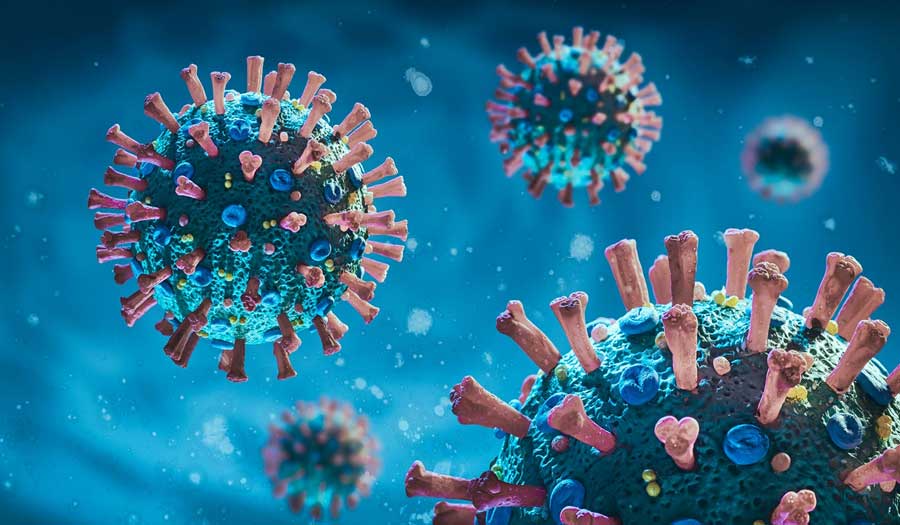دراسة: فيروس SARS-CoV-2 قد يصيب الكلى مباشرة