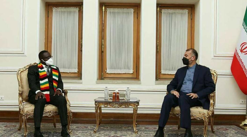 وزير الخارجية الإيراني: نحن جادون في مجال تطوير العلاقات مع الدول الإفريقية