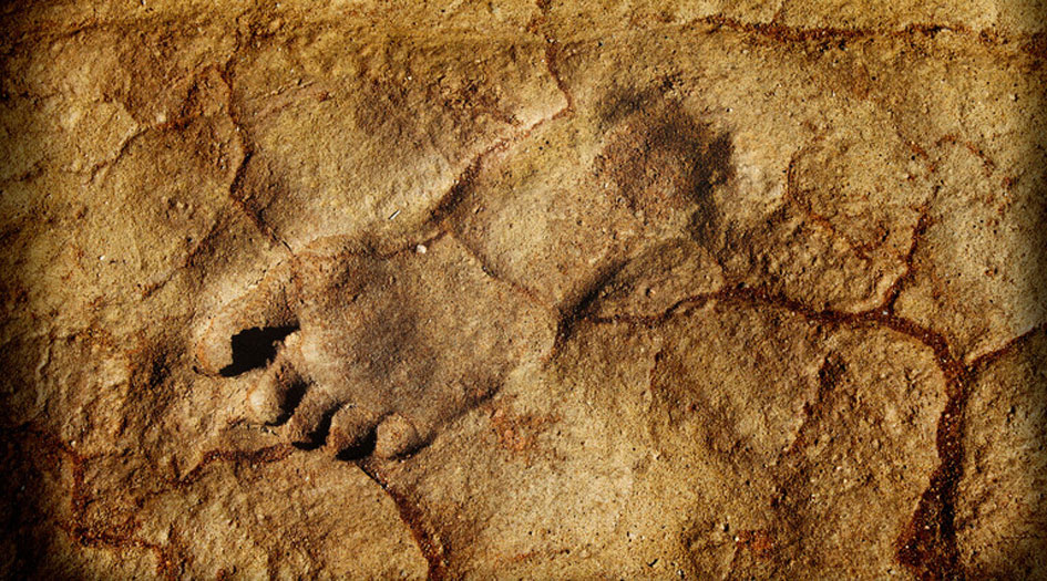 حل لغز آثار أقدام غريبة عمرها 3.7 مليون سنة في تنزانيا