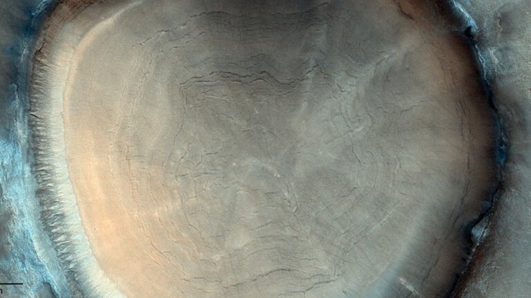 ما رواية لغز "جذع شجرة" على سطح المريخ؟