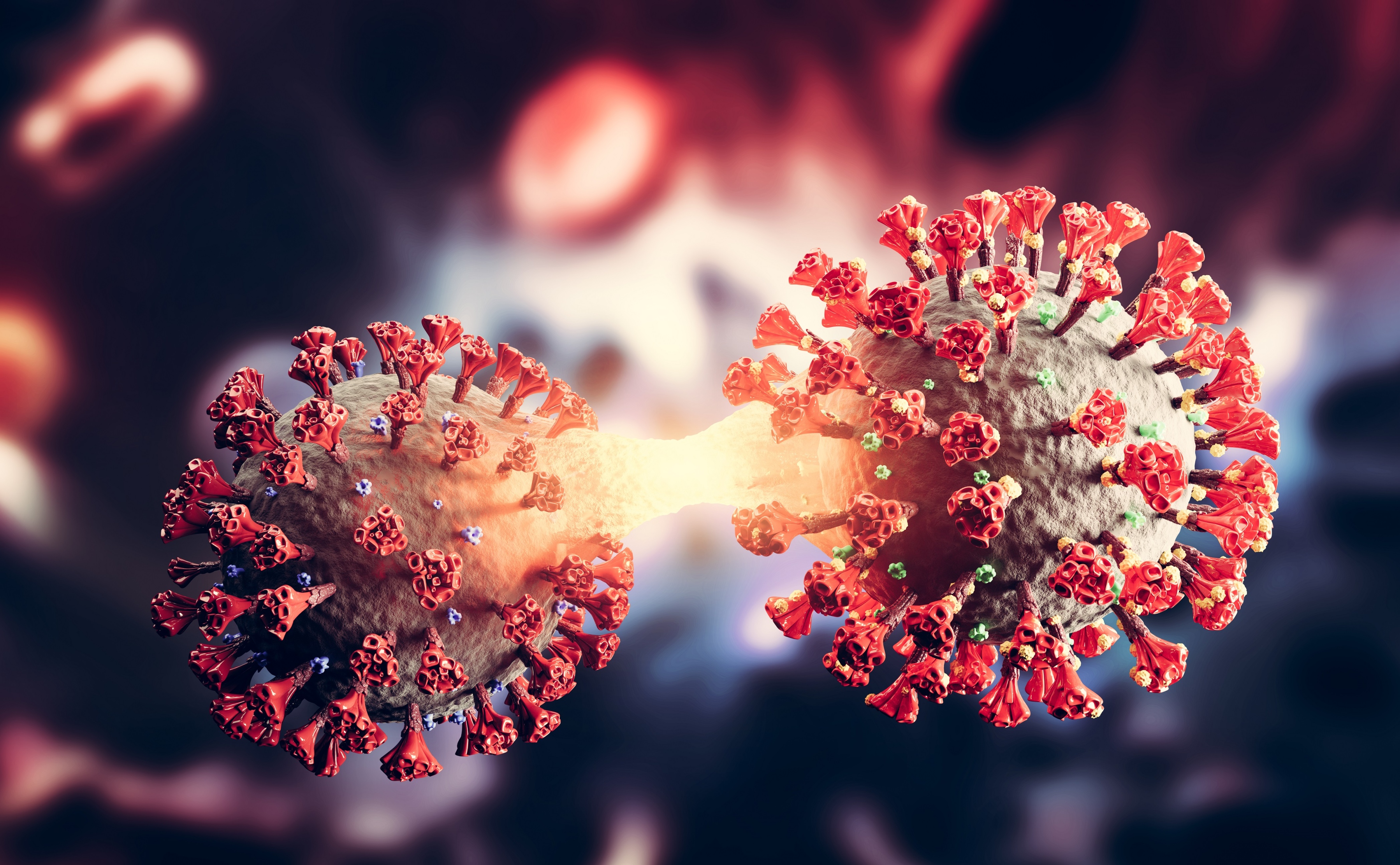 الكشف عن أربعة "متحورات خفية" لفيروس كورونا 