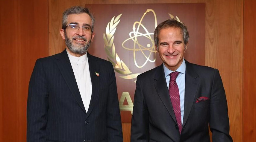 علي باقري يجري محادثات مع المدير العام للوكالة الدولية للطاقة الذرية