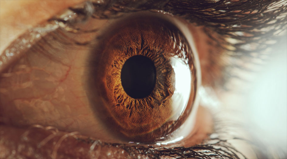 حالة العين تكشف أوضاع الأعضاء الأخرى للجسم 