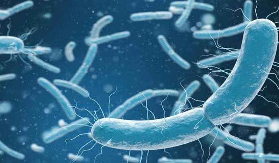 تحديد بكتيريا في الأنف تضاعف خطر الإصابة بالزهايمر