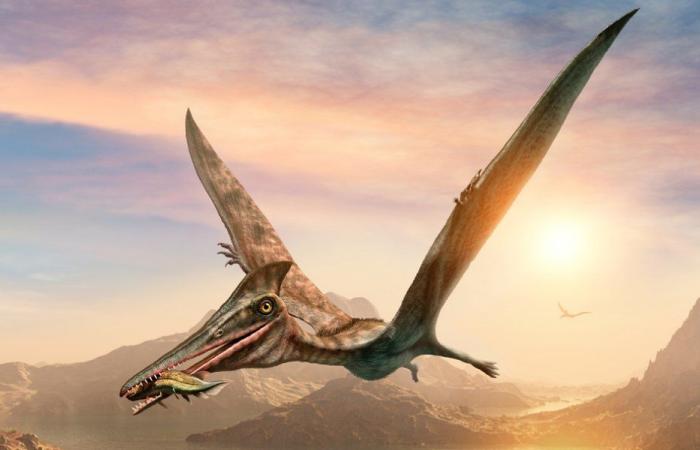 طائر غريب جاب الصين منذ 120 مليون سنة!