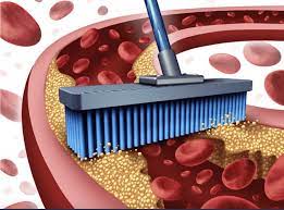 طرق طبيعية لتنظيف الشرايين والأوعية الدموية 