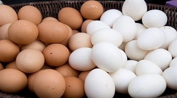ما الفرق بين البيض الأبيض والبني؟