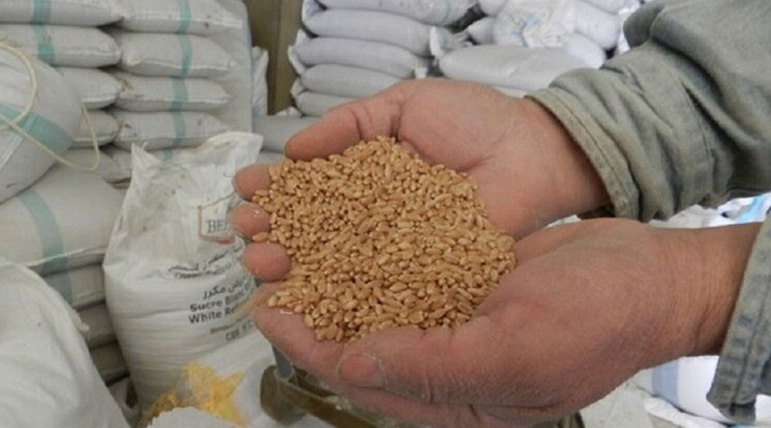 وزير التموين المصري يكشف عن مخزون بلاده من القمح
