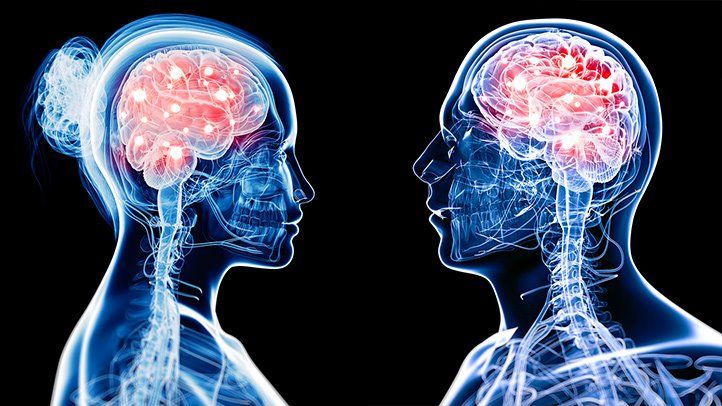 هل هناك اختلاف بين دماغ الرجل والمرأة؟