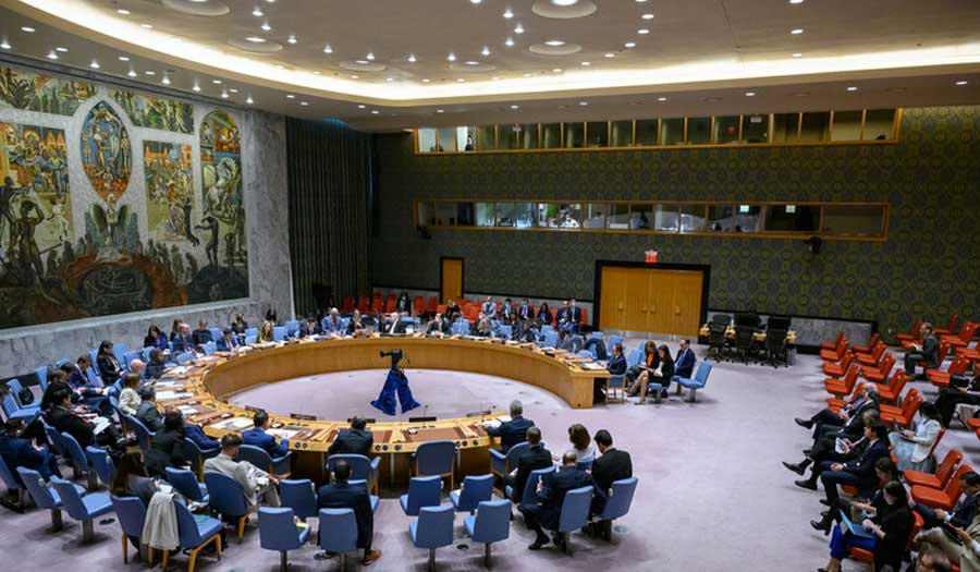 فلسطين تدعو مجلس الأمن إلى تجاوز حالة الشلل طويلة الأمد حول جرائم الاحتلال