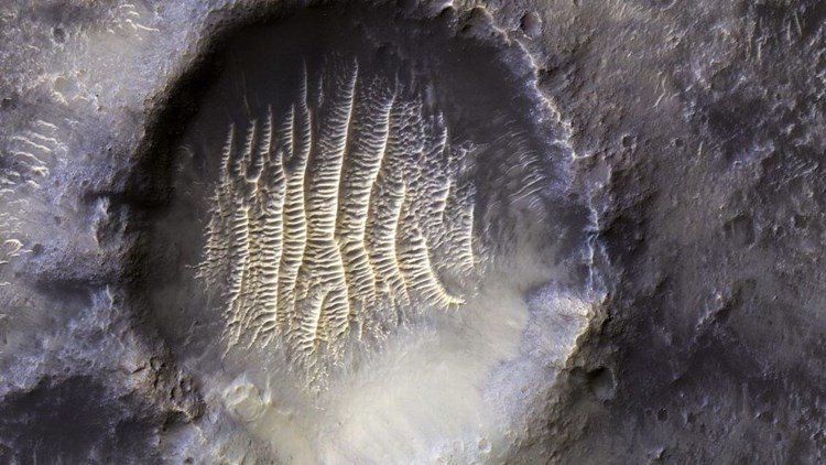 هل تعلم ما سر البصمة على المريخ؟