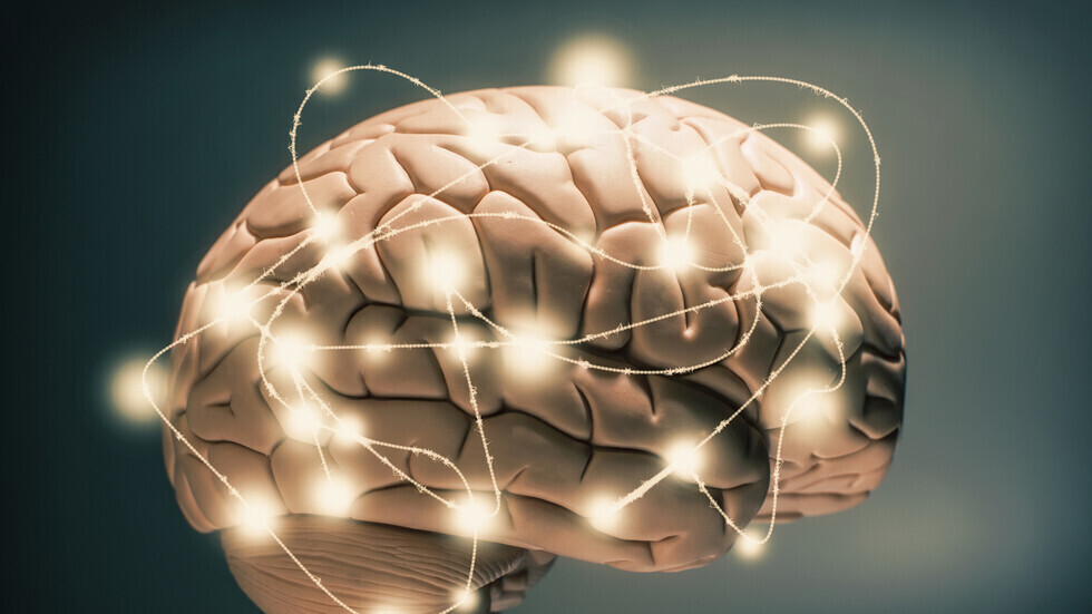 تحديد شبكة "فائقة الحساب" في الدماغ 