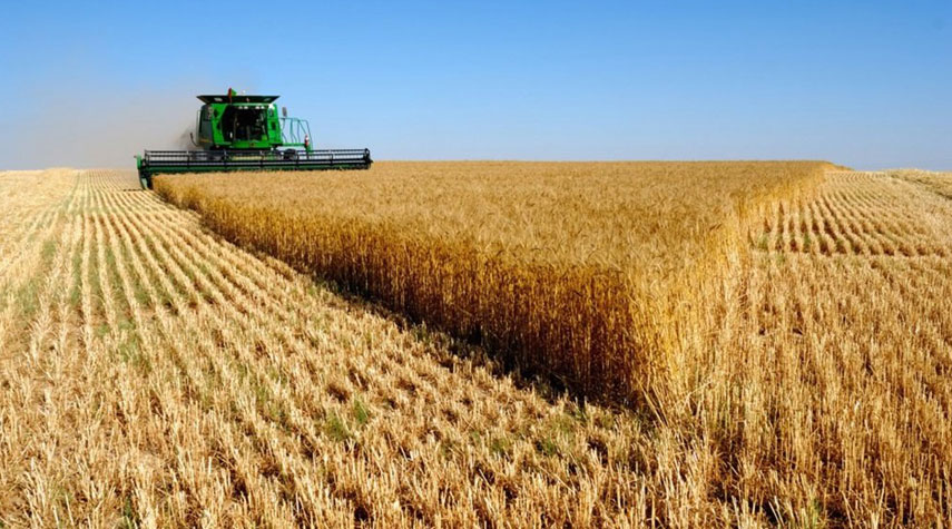 صادرات أوكرانيا من الحبوب 46 مليون طن هذا الموسم