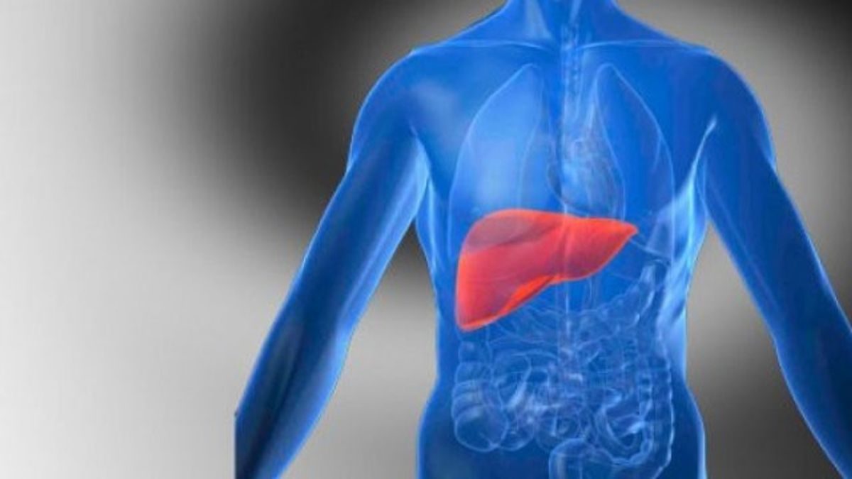 الكشف عن آخر مستجدات التهاب الكبد الغامض